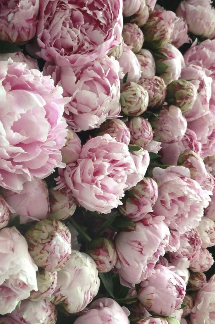 Modern Lifestyle Harmony workshop space where corporate flower arrangements are designed and prepared for business delivery